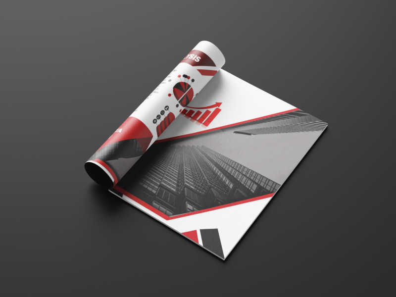 Brochure Designing