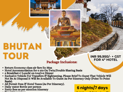 Graphic designer and Social media marketing consultant