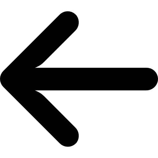 software developer