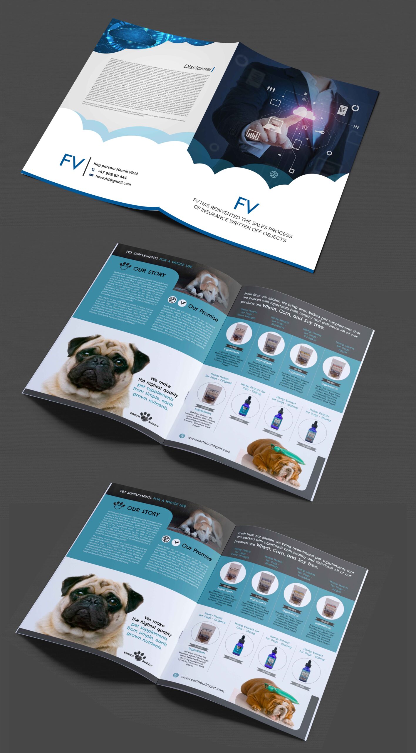 I will design Catalogue for Business advertisement